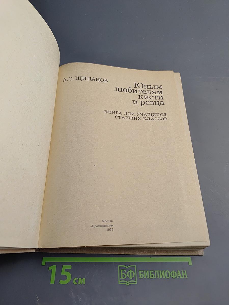 Юным любителям кисти и резца. Книга для учащихся старших классов