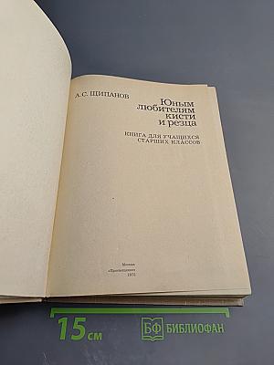 Юным любителям кисти и резца. Книга для учащихся старших классов