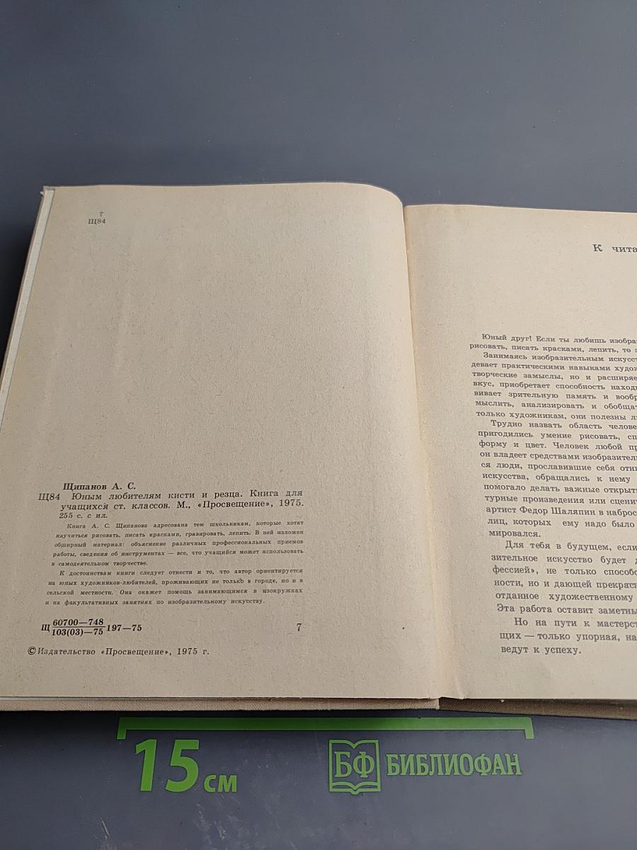 Юным любителям кисти и резца. Книга для учащихся старших классов