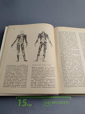 Юным любителям кисти и резца. Книга для учащихся старших классов