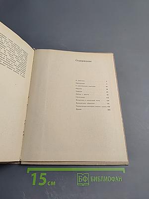 Юным любителям кисти и резца. Книга для учащихся старших классов