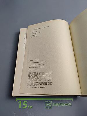 Юным любителям кисти и резца. Книга для учащихся старших классов