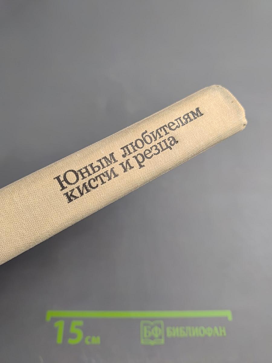 Юным любителям кисти и резца. Книга для учащихся старших классов