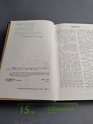 Малая дебютная энциклопедия