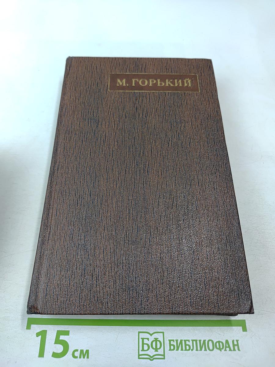 Заметки из дневника. Воспоминания. Рассказы 1922-1924 годов. Том семнадцатый