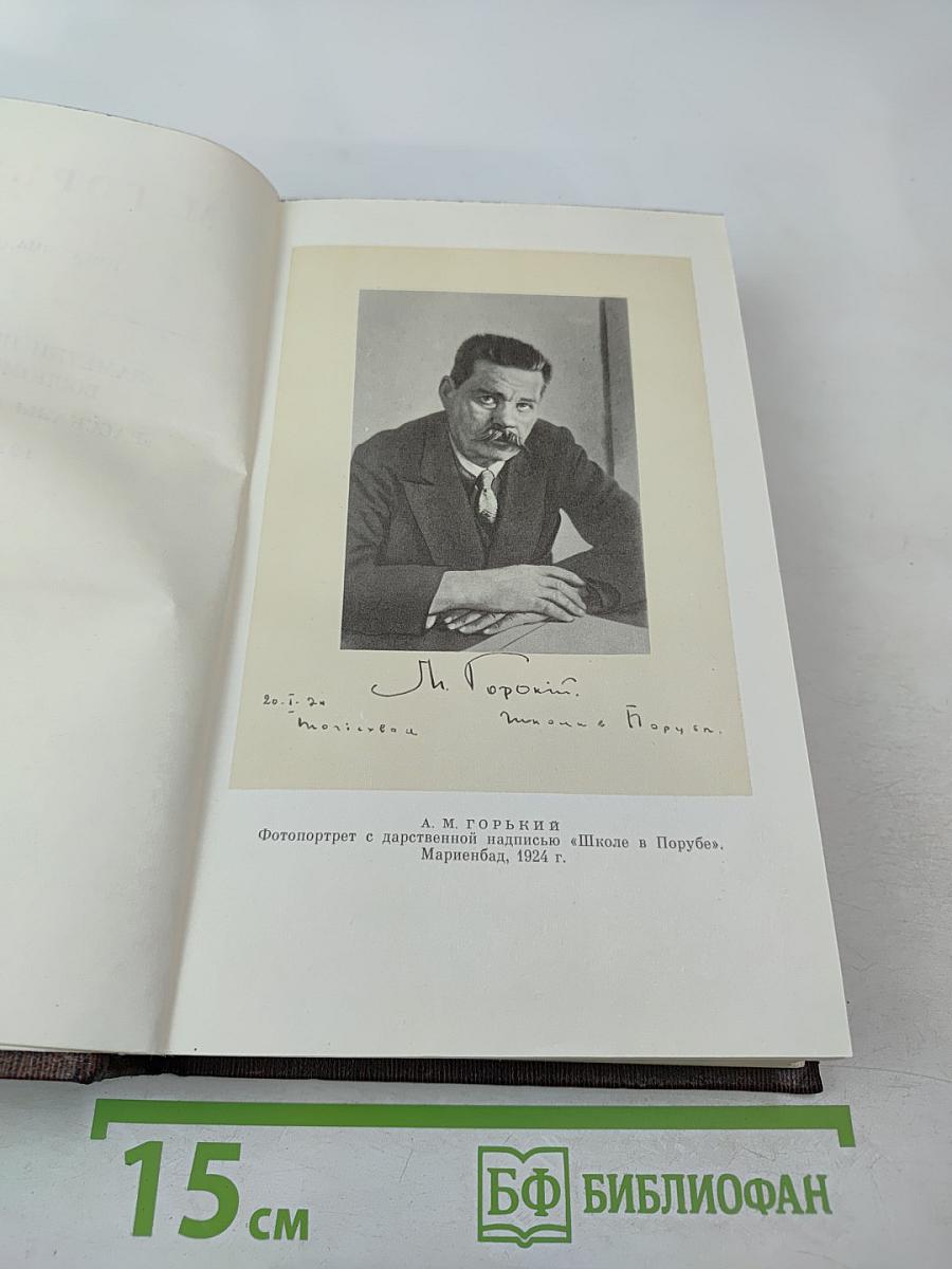 Заметки из дневника. Воспоминания. Рассказы 1922-1924 годов. Том семнадцатый