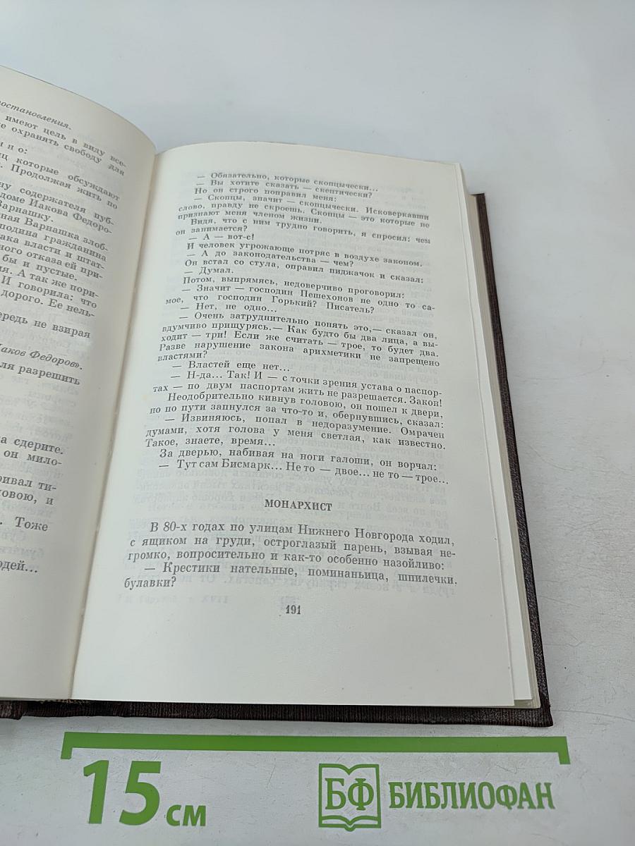Заметки из дневника. Воспоминания. Рассказы 1922-1924 годов. Том семнадцатый