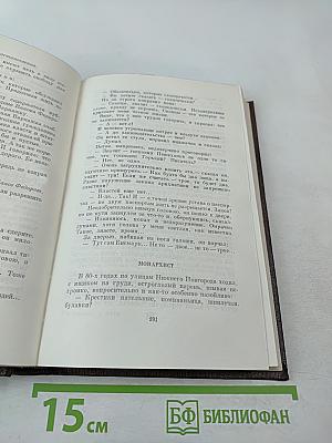 Заметки из дневника. Воспоминания. Рассказы 1922-1924 годов. Том семнадцатый