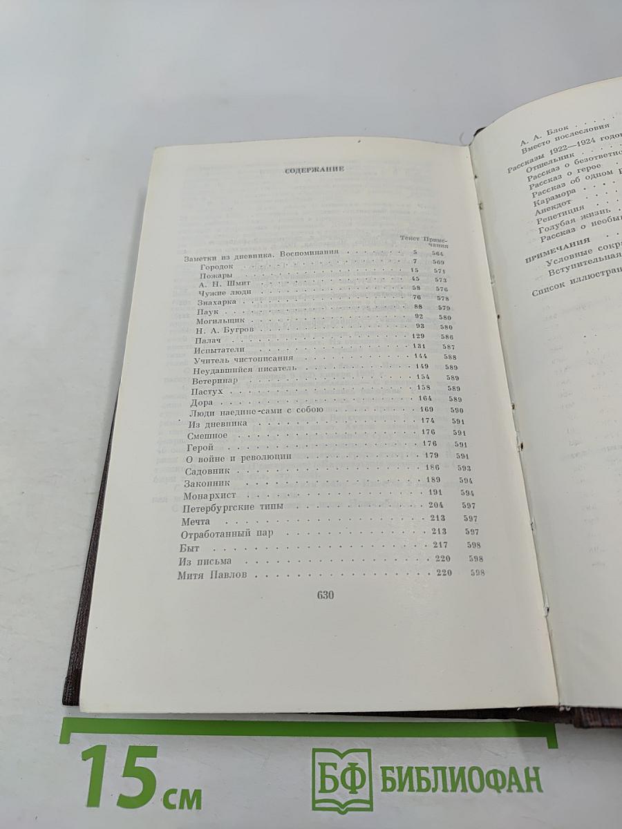 Заметки из дневника. Воспоминания. Рассказы 1922-1924 годов. Том семнадцатый
