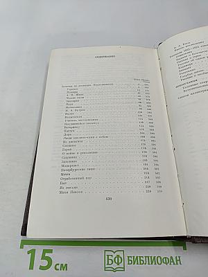 Заметки из дневника. Воспоминания. Рассказы 1922-1924 годов. Том семнадцатый