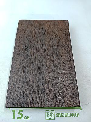 Заметки из дневника. Воспоминания. Рассказы 1922-1924 годов. Том семнадцатый