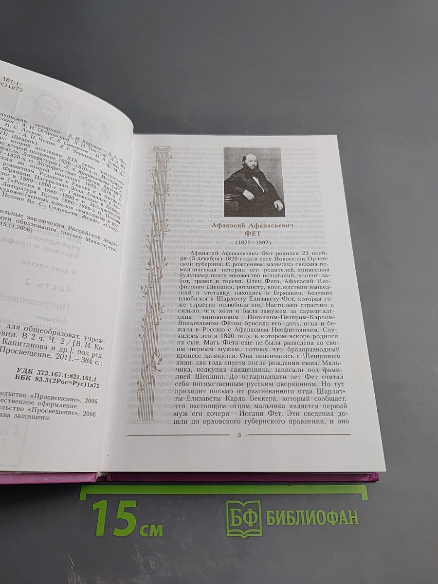 Литература 10 класс, Часть 2