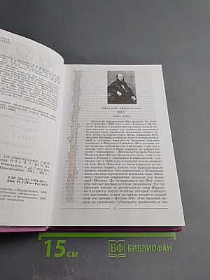 Литература 10 класс, Часть 2