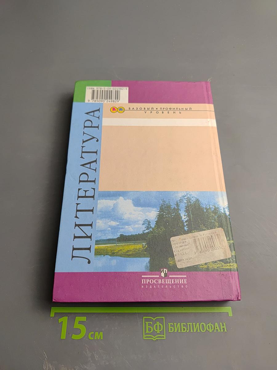 Литература 10 класс, Часть 2