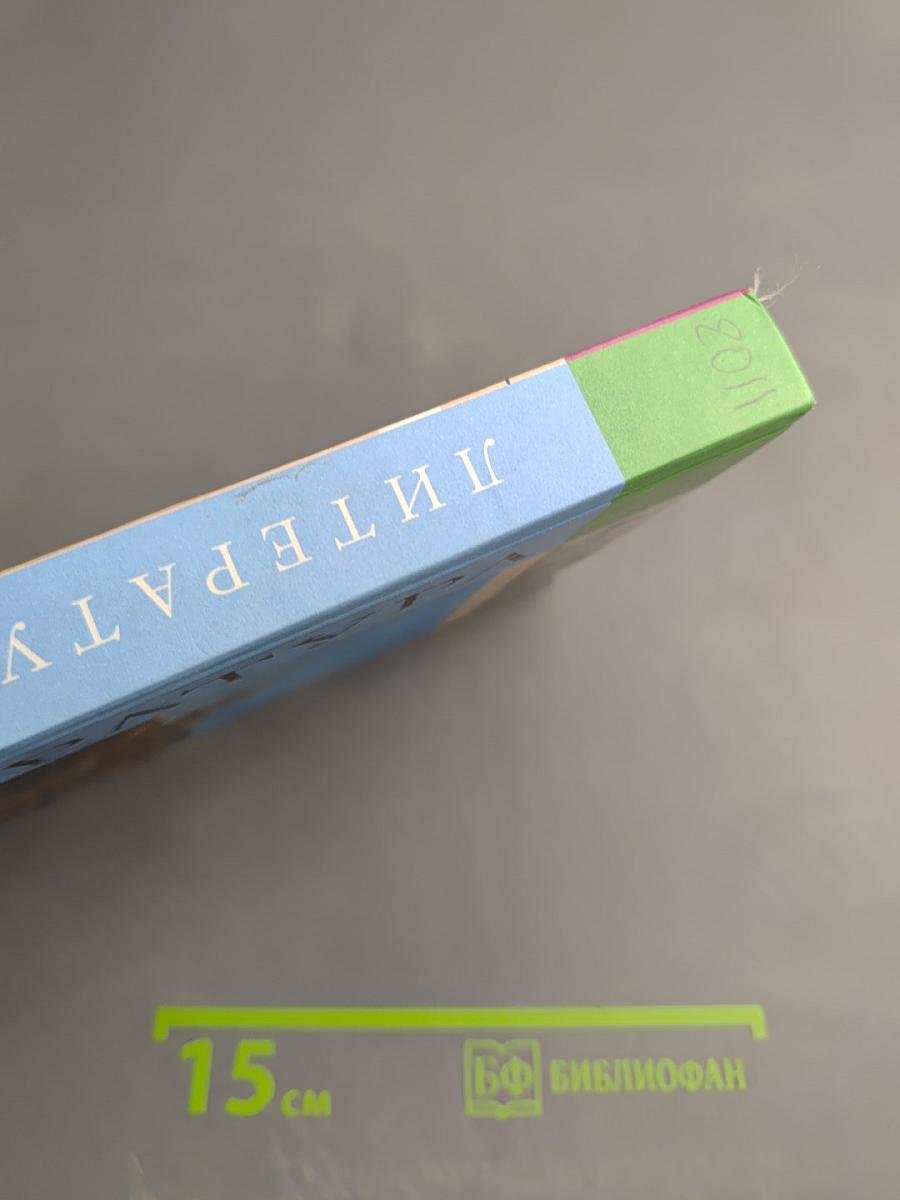 Литература 10 класс, Часть 2