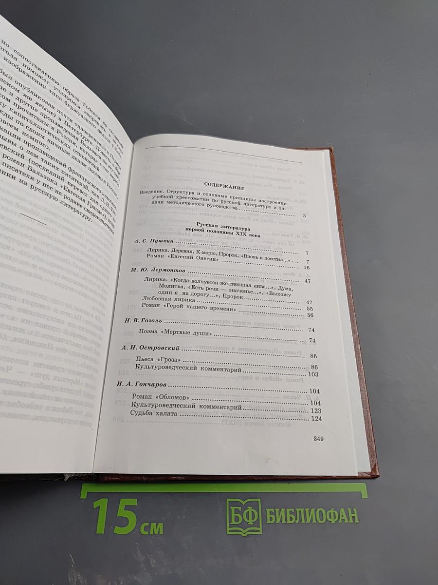 Русская литература в 10 классе татарской школы