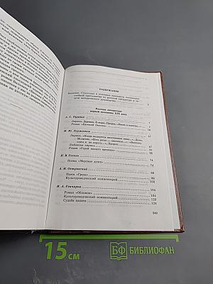 Русская литература в 10 классе татарской школы