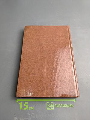 Русская литература в 10 классе татарской школы