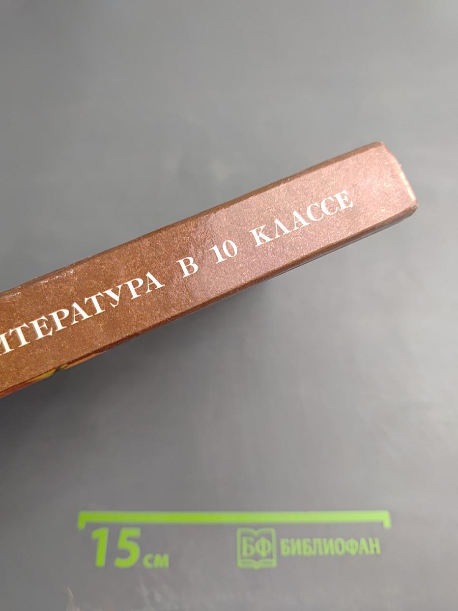 Русская литература в 10 классе татарской школы