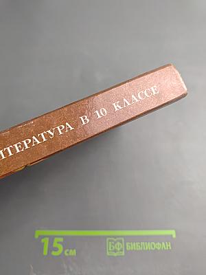 Русская литература в 10 классе татарской школы