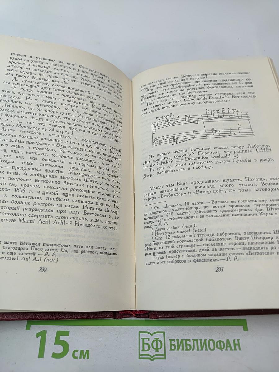 Том 12: Бетховен. Великие творческие эпохи. Незавершенный собор