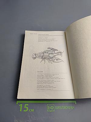 Крёстный отец