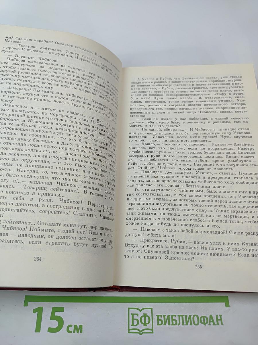 Горячий снег. Последние залпы