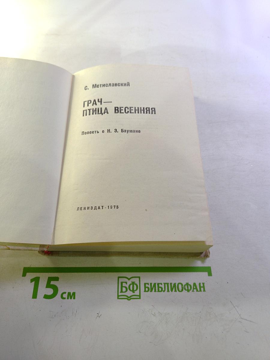 Грач — птица весенняя