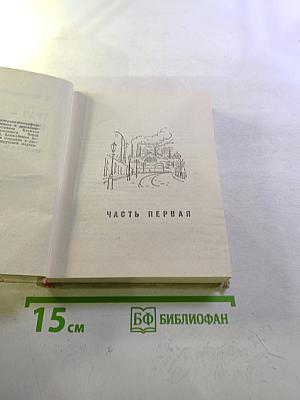 Грач — птица весенняя