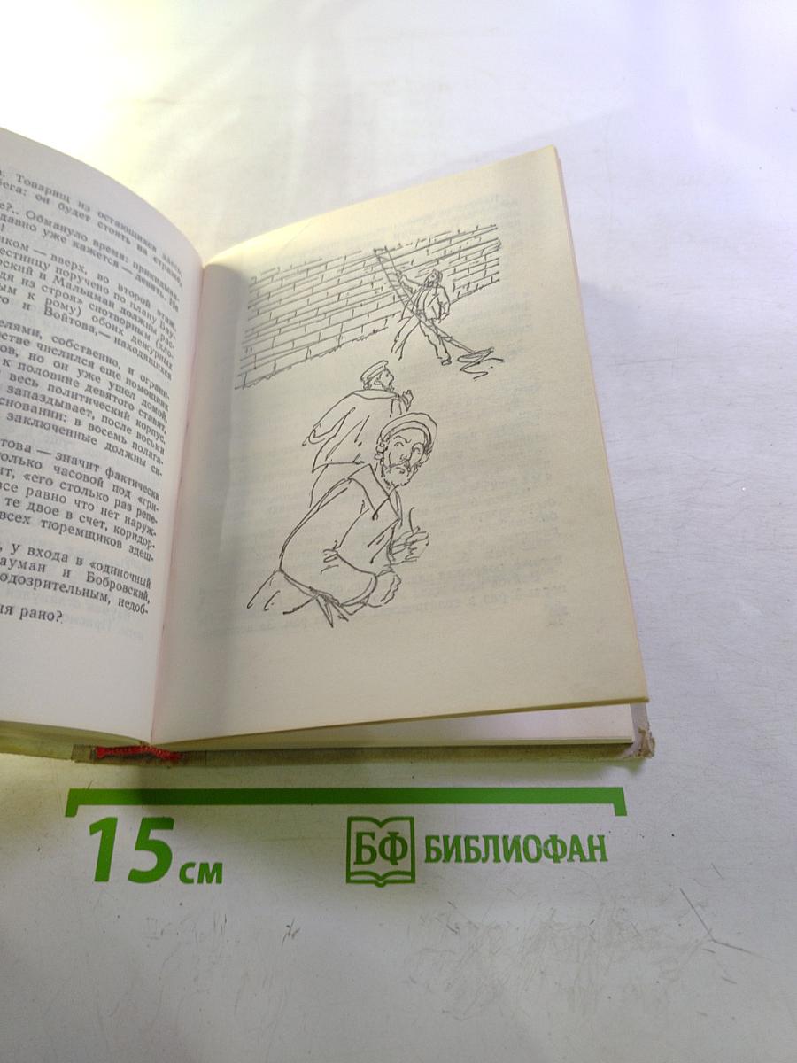 Грач — птица весенняя