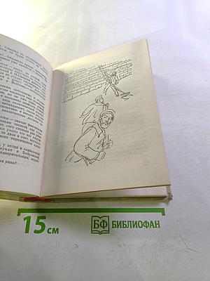 Грач — птица весенняя