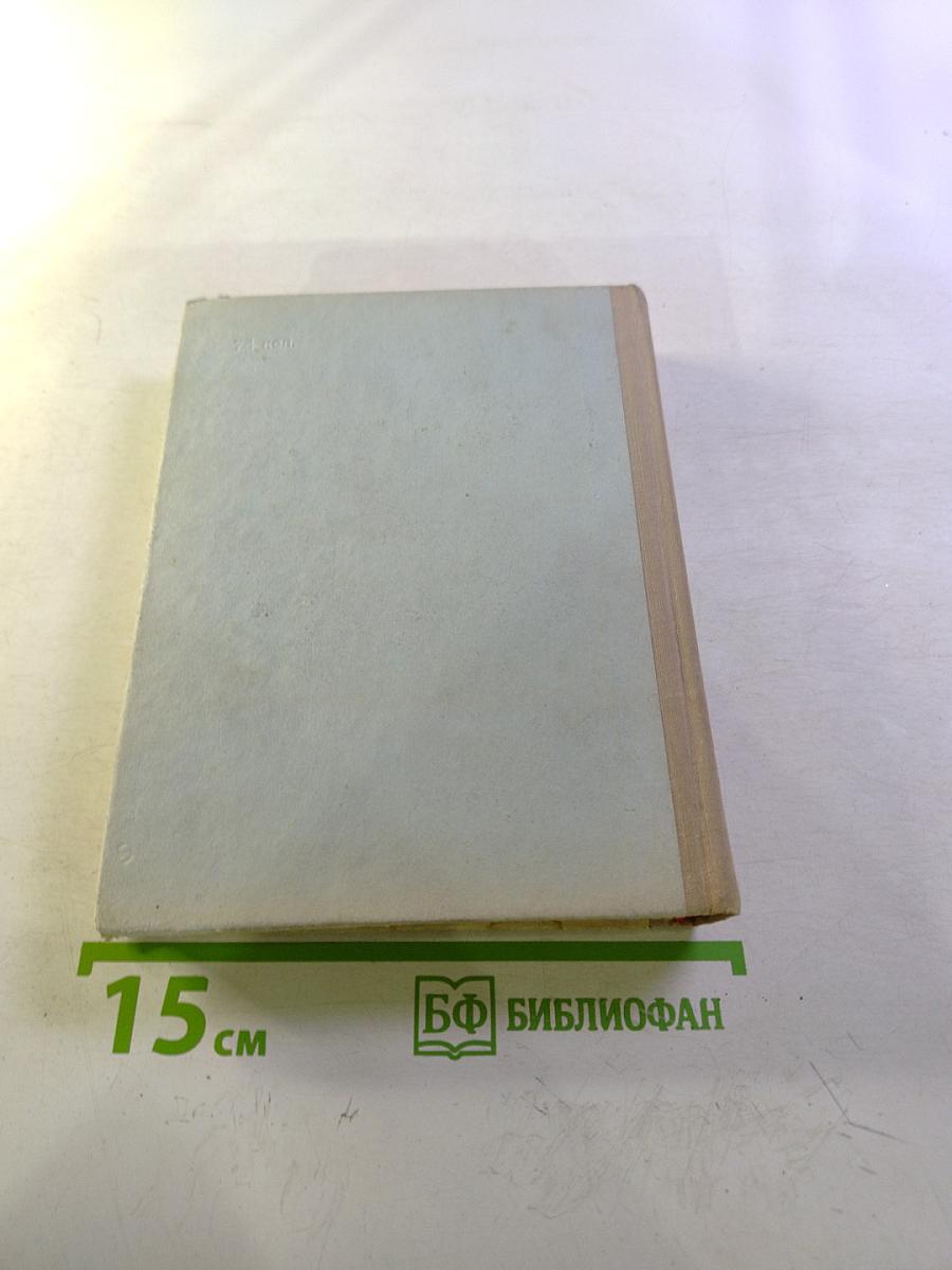 Грач — птица весенняя