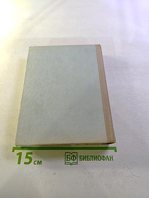 Грач — птица весенняя