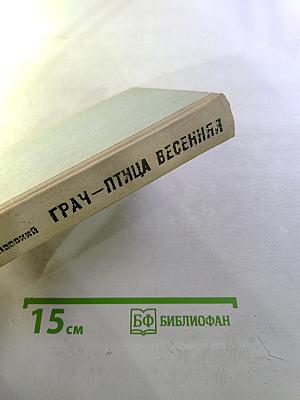 Грач — птица весенняя