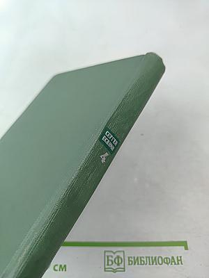 Собрание сочинений. Том четвертый. Проза. Статьи и заметки