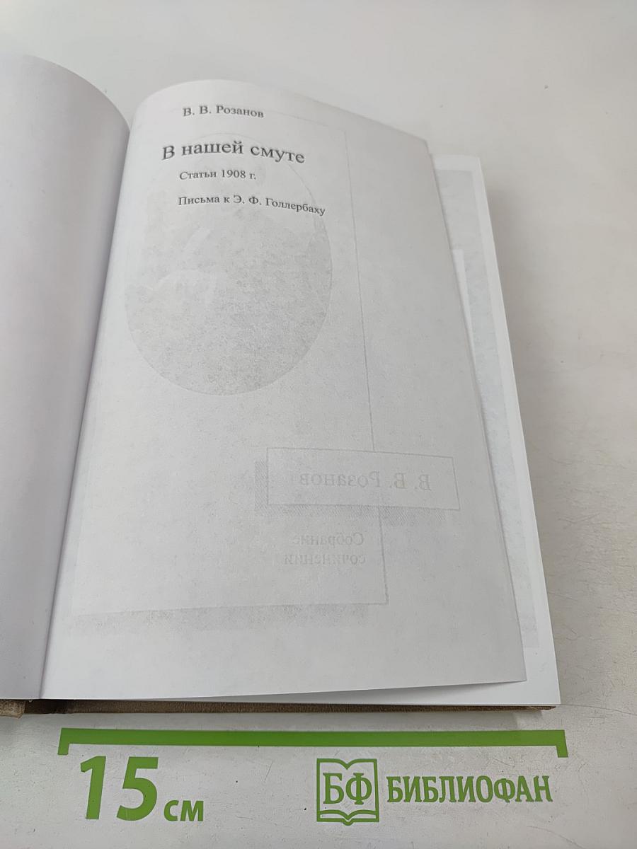 В нашей смуте. Статьи 1908 г. Письма к Э. Ф. Голлербаху