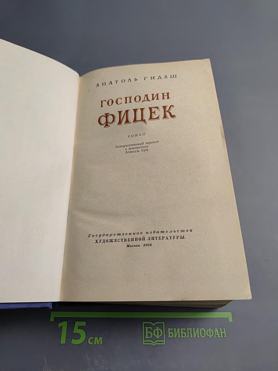 Господин Фишек