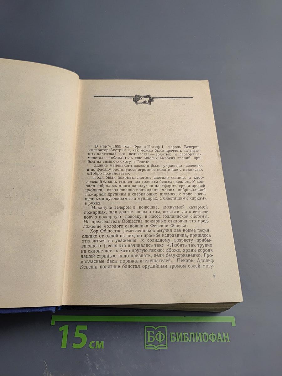 Господин Фишек