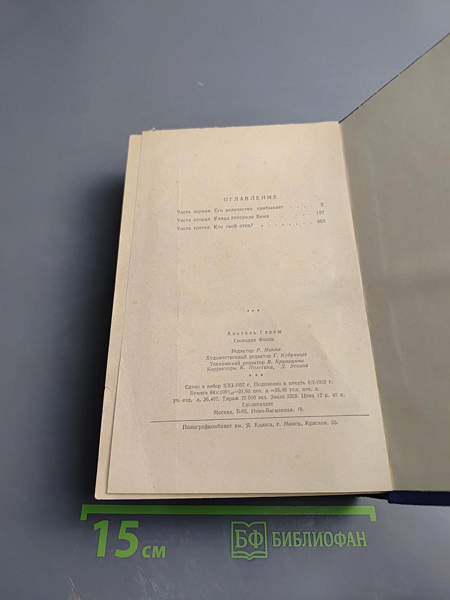 Господин Фишек