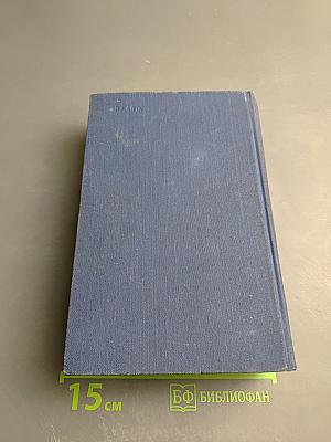 Господин Фишек