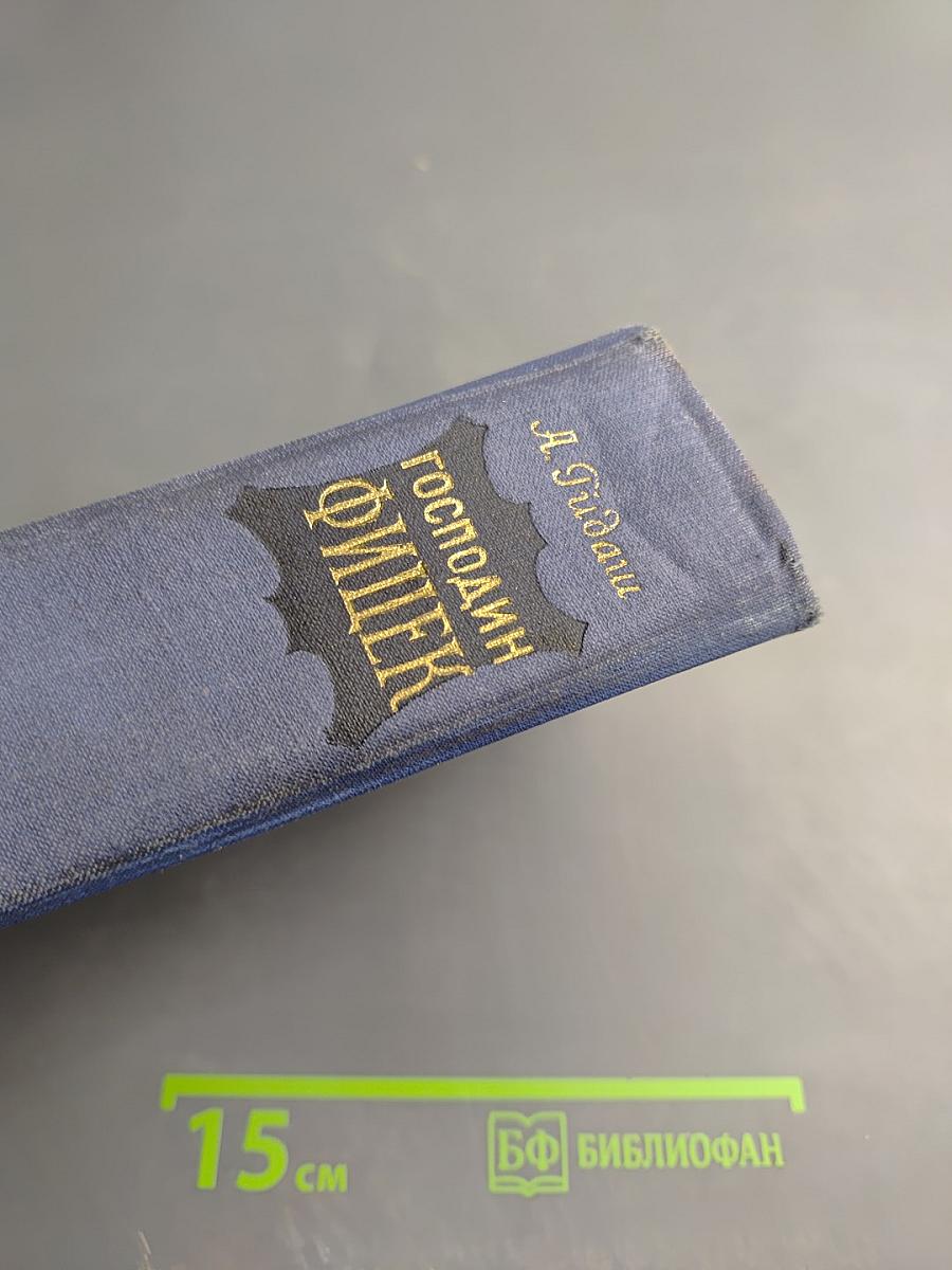 Господин Фишек