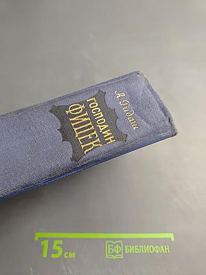 Господин Фишек