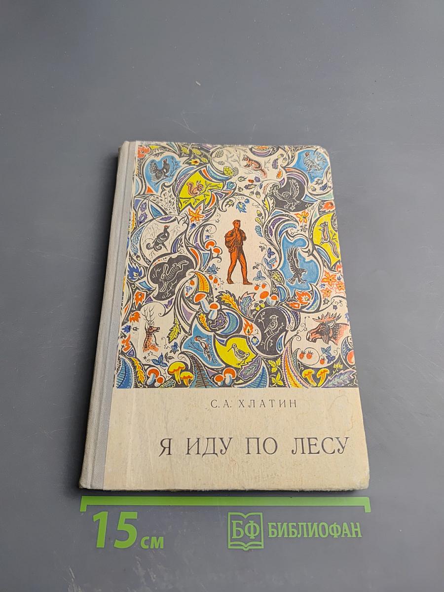Я иду по лесу