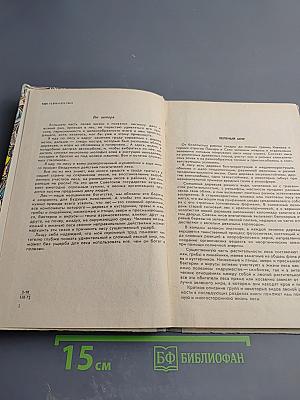 Я иду по лесу