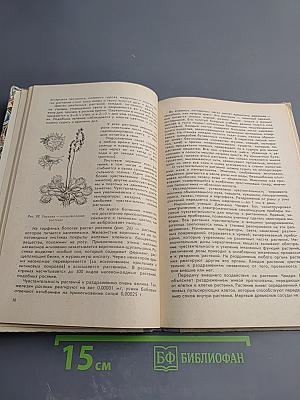 Я иду по лесу