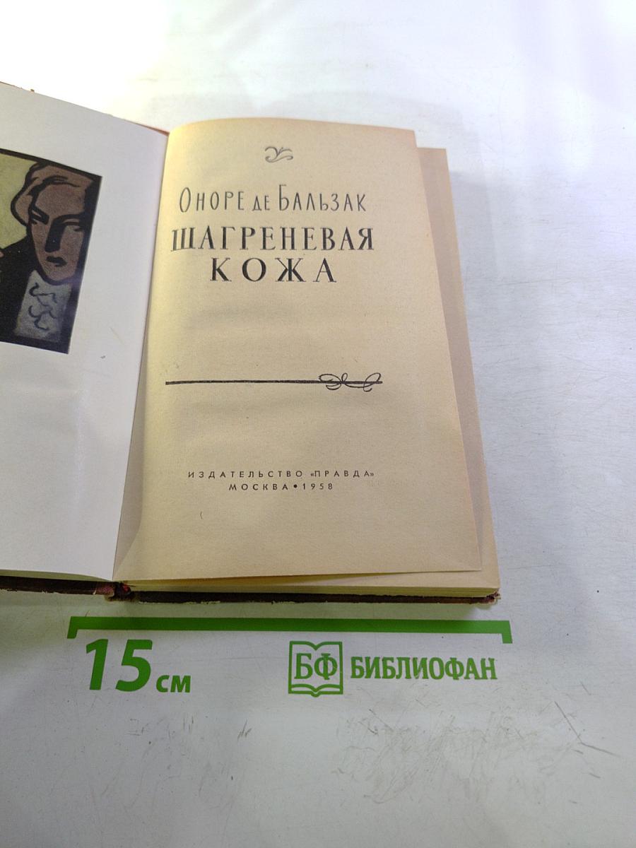 Шагреневая кожа