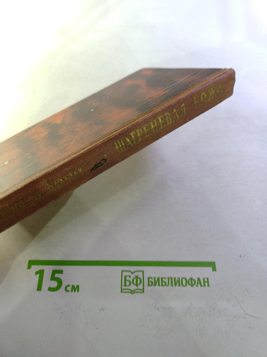 Шагреневая кожа