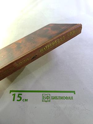 Шагреневая кожа