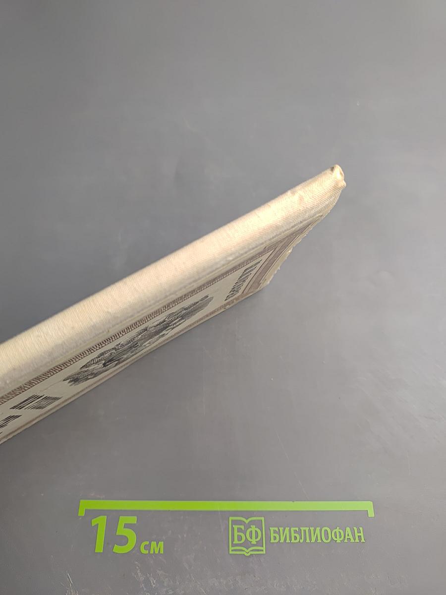 Мой русский стих, живое слово...