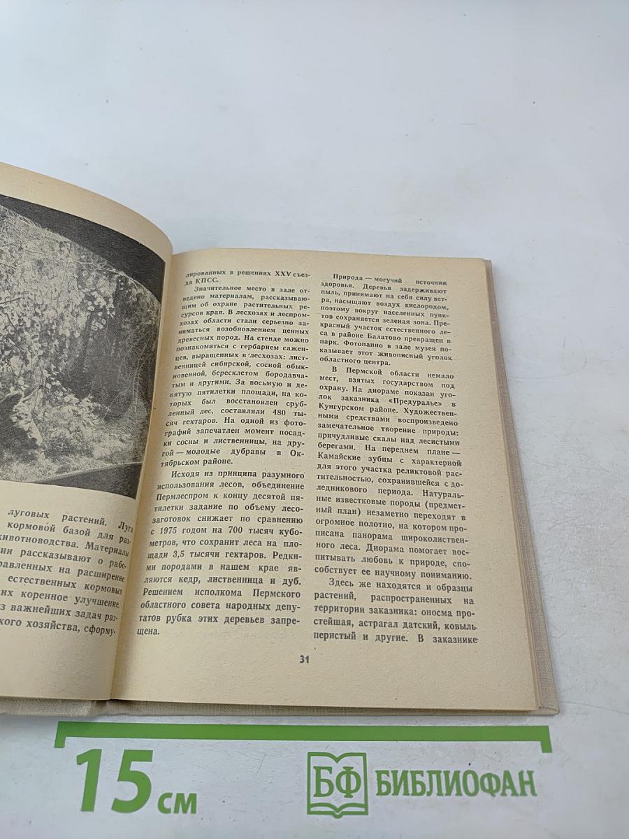 Путеводитель. Пермский областной краеведческий музей